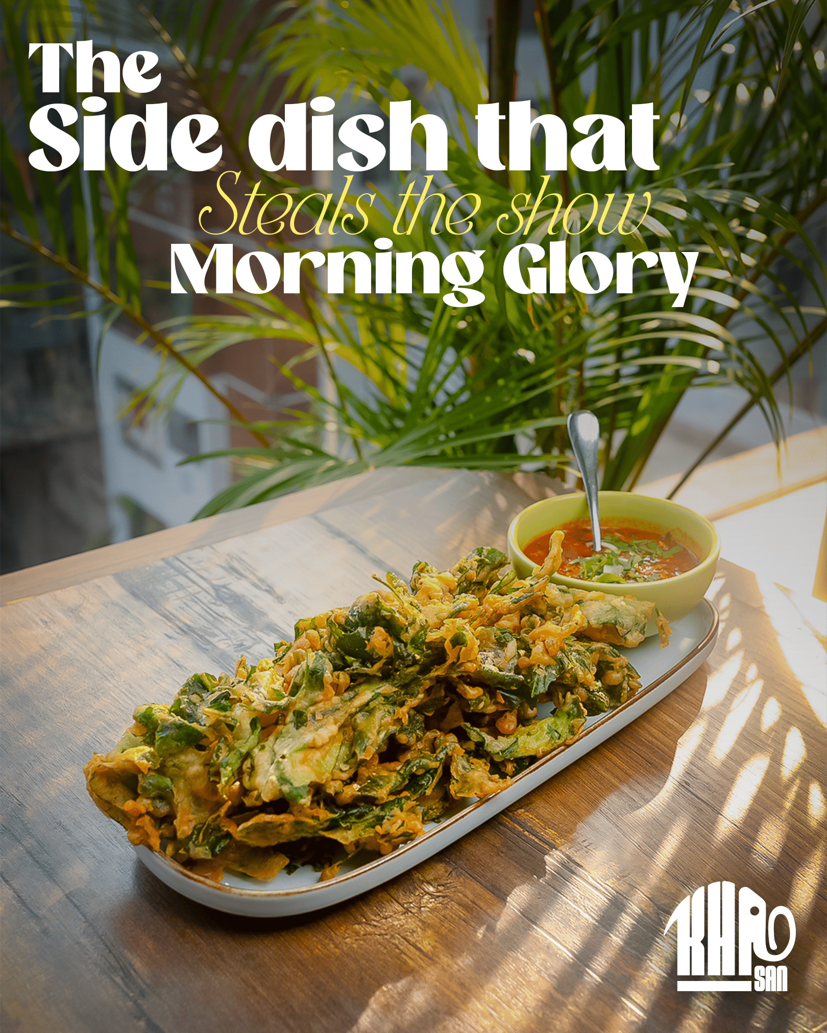 Morning Glory