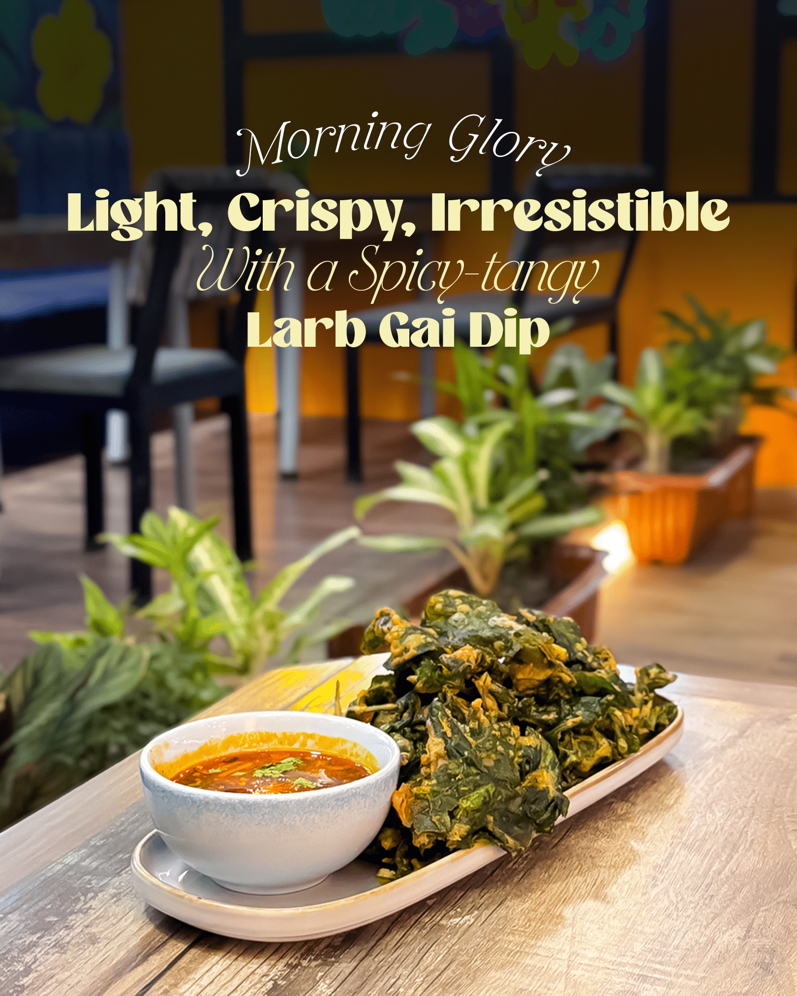 Morning Glory